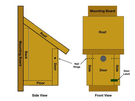 does a bluebird house need metal around the opending|blue bird house hole opening.